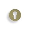 Valli Euro Profile Push-on Round Rosette Escutcheon - Satin Brass PVD