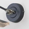 Smooth Nickel Flora Wall Light in Slate