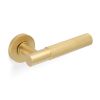 Valli Antonio Citterio Lever on Round Rosette (Zigrinato) - Satin Brass PVD