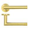 Zoo Hardware Lugano Lever on Round Rose - PVD Satin Brass