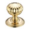 Zoo Hardware Ringed Mortice Knob - Concealed Fix - Polished Brass
