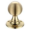 Zoo Hardware Queen Anne Mortice Knob Furniture 60mm Rose dia. - Polished Brass