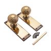 Beehive Knob on Backplate Latch Aged Brass