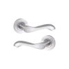 Camila Lever Door Handle Satin Chrome