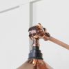 Smooth Copper Flora Wall Light