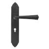 Beeswax Gothic Lever Lock Set