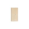 Rectangle Backplate for Cupboard Knobs Polished Brass