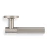 Valli Antonio Citterio Lever on Round Rosette (Esagono) - Satin Nickel PVD