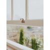 Polished Chrome Sash Lift