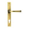 Aged Brass Avon Slimline Lever Espag. Lock Set