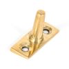 Polished Brass EJMA Pin