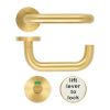 Zoo Hardware 19mm Lift to Lock Tubular Return to Door Lever set -Push On Rose - Grade 304 - PVD Satin Brass