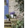 Satin Marine SS (316) 28cm Hepworth Pot (Drainage holes)