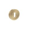 STATUS Key Escutcheons on Round Rose - Satin Brass (Pair)