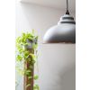White Gloss Harborne Pendant in Bluff