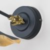 Smooth Brass Flora Wall Light in Soot