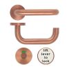 Zoo Hardware 19mm Lift to Lock Tubular Return to Door Lever set -Push On Rose - Grade 304 - PVD Satin Bronze