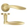 Zoo Hardware Cadiz lever on rose - Satin Brass