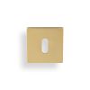 Valli Lock Profile Push-on Square Rosette Escutcheon - Satin Brass PVD