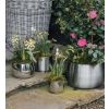 Polished Marine SS (316) 16cm Hepworth Pot
