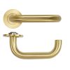 Zoo Hardware Maggiore Lever on 4mm Round Slim Sprung Rose - PVD Satin Brass
