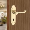 Oakley Lever on Backplate Lock Polished Brass