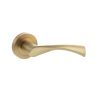 STATUS Colorado Lever Door Handle on Round Rose - Satin Brass (Pair)
