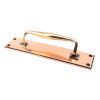 Polished Bronze 300mm Art Deco Pull Handle on Backplate