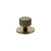 Millhouse Brass Paddington Spiral Round Cabinet Knob Handle on Backplate - Antique Brass