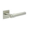 CR-103 Satin Stainless Steel  Unsprung Square Rose Door Handle - By Frelan Hardware - CR-103B2SSS