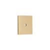 Square Backplate for Cupboard Knobs Satin Brass