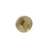 Senza Pari WC Turn and Release on Minimal Round Rose - Satin Brass