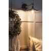 Smooth Brass Flora Wall Light in Slate