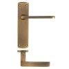 Zoo Hardware Leon lever on latch backplate - Antique Brass