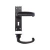 Zoo Hardware Traditional Slimline Thumb Lever on Lock Backplate - - Black