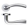 Zoo Hardware Siena lever on round rose - Polished Chrome