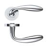 Zoo Hardware Verona lever on round rose - Polished Chrome
