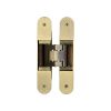 Ghost 3D 160mm Concealed Hinge Antique Brass - By Frelan Hardware - CH100AB