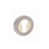 STATUS Euro Escutcheons on Round Rose - Satin Nickel/Polished Brass (Pair)
