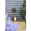 Satin Marine SS (316) 28cm Newlyn Pot