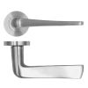 Zoo Hardware Como Lever on Round Rose - Satin Stainless