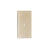 Rectangle Backplate for Cupboard Knobs Satin Brass