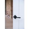 Black Avon Round Lever on Rose Set (Square)