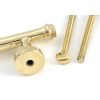 Polished Brass Regency Pull Handle - Large