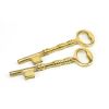 Iron Davenport Rim Lock