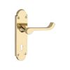 Oakley Lever on Backplate Lock Polished Brass