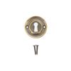 Slimline Standard Escutcheon Aged Brass