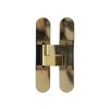 AGB Eclipse Adjustable Concealed Hinge - Polished Brass