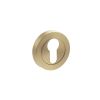 STATUS Euro Escutcheons on Round Rose - Satin Brass (Pair)