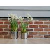 Satin Marine SS (316) 12.5cm Newlyn Pot